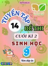 Tuyển tập 14 Đề thi cuối Kì 2 môn Sinh Học 9 sách Kết Nối Tri Thức (Kèm đáp án)